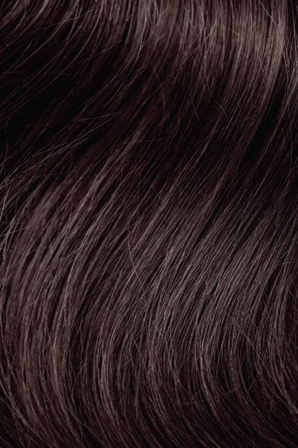 Shine Tone Warm Brown