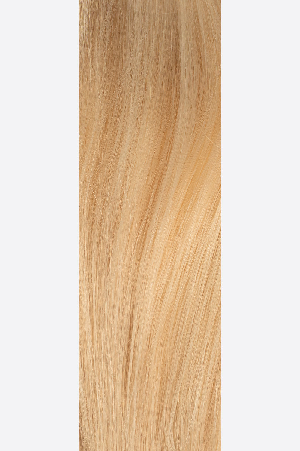 Hair Topper Full Crown 12N